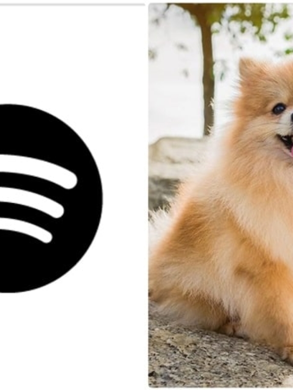Ever Thought, What Music Your Pet May Like? New Spotify Feature Makes It Possible