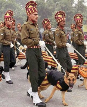 Your Chance To Touch A Military Dog’s Life