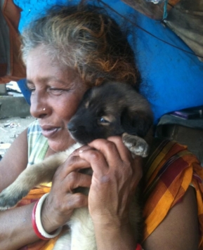 The Incredible Dog Rescuers And Animal Lovers Of India