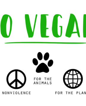 “If Dairy Farms Had Cameras, Everyone Would Be Vegan”